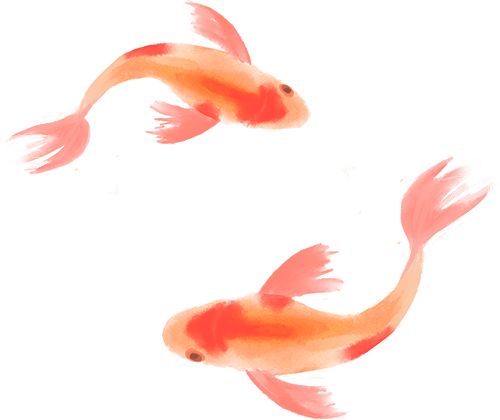 《鄱阳湖》 村庄的模样